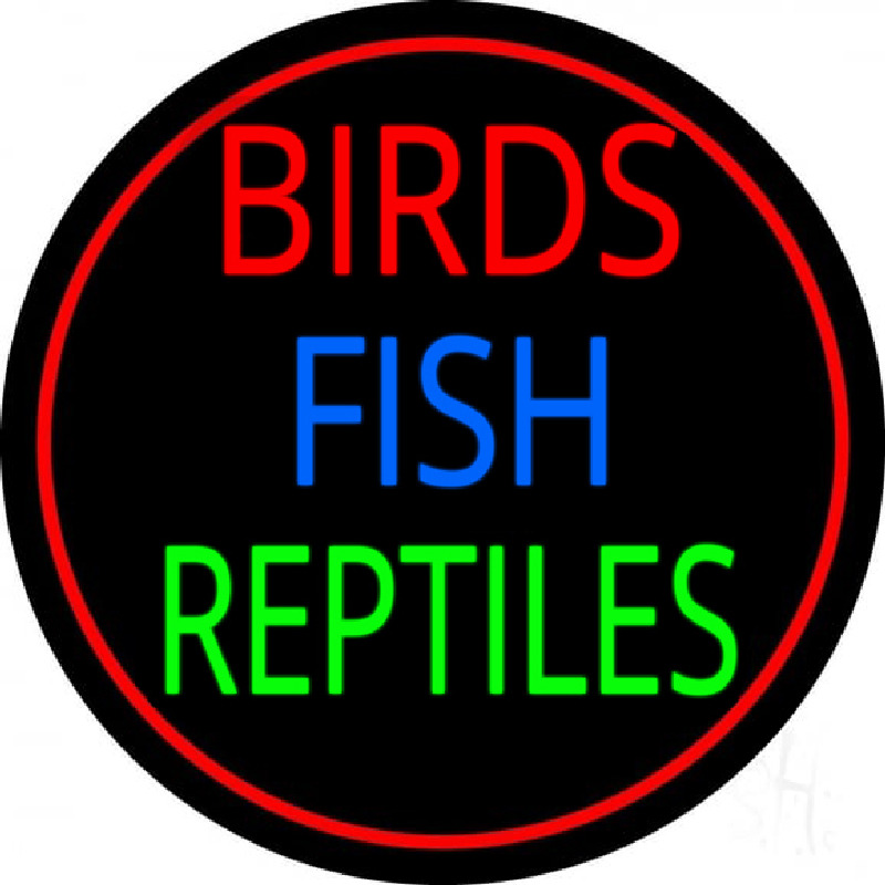 Birds Fish Reptiles 2 Neon Sign