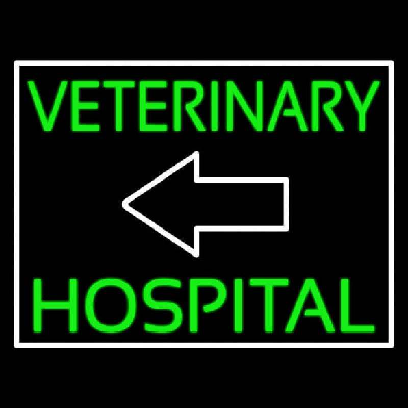 Veterinary Hospital With Arrow Neon Sign