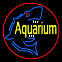 Aquarium Shark Logo Red Circle Neon Sign
