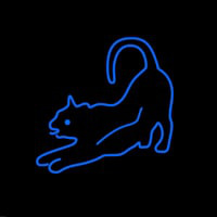 Cat Care Neon Sign