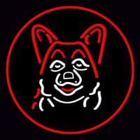 Dog Grooming Red Oval Neon Sign
