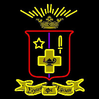 Sigma Phi Epsilon Chapters Logo Neon Sign