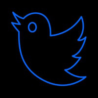 Twitter Bird Logo Neon Sign